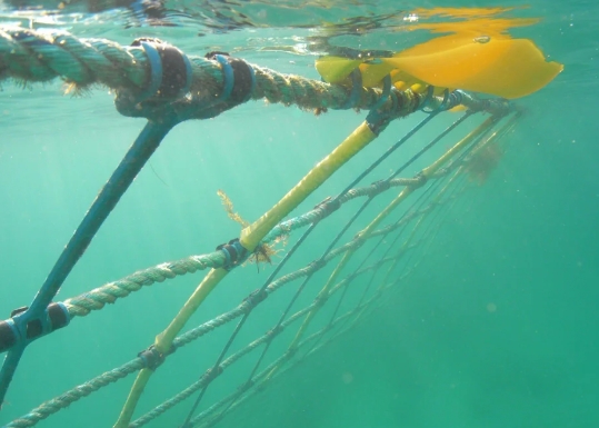 用于海洋管制区阻拦索监测的分布式光纤传感DAS